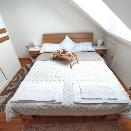 Apartman Ns Dan Private Parking Novi Sad Bagian luar foto