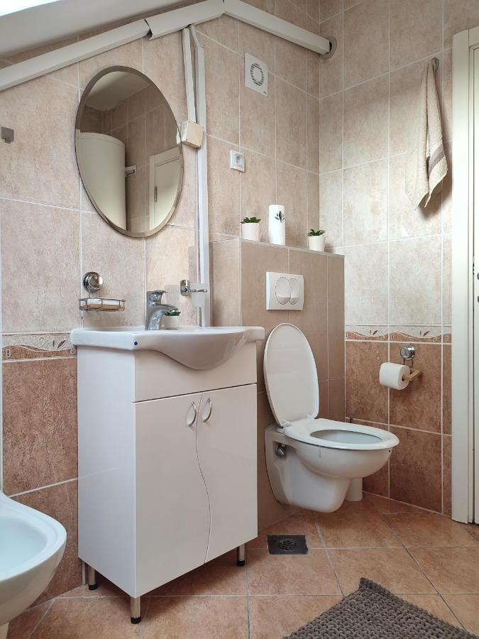 Apartman Ns Dan Private Parking Novi Sad Bagian luar foto