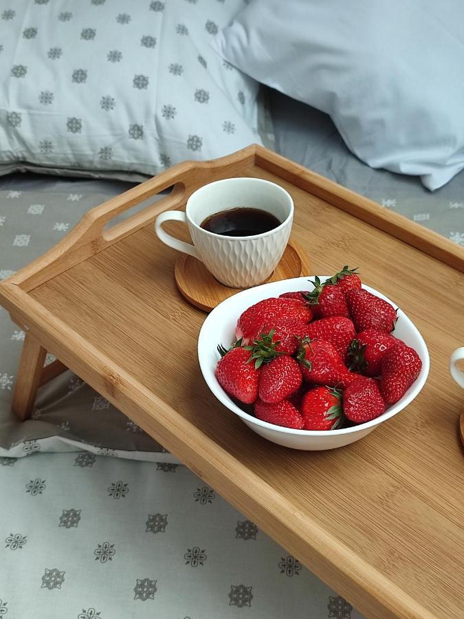 Apartman Ns Dan Private Parking Novi Sad Bagian luar foto