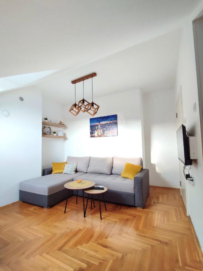 Apartman Ns Dan Private Parking Novi Sad Bagian luar foto