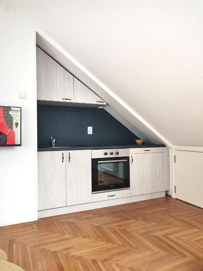 Apartman Ns Dan Private Parking Novi Sad Bagian luar foto