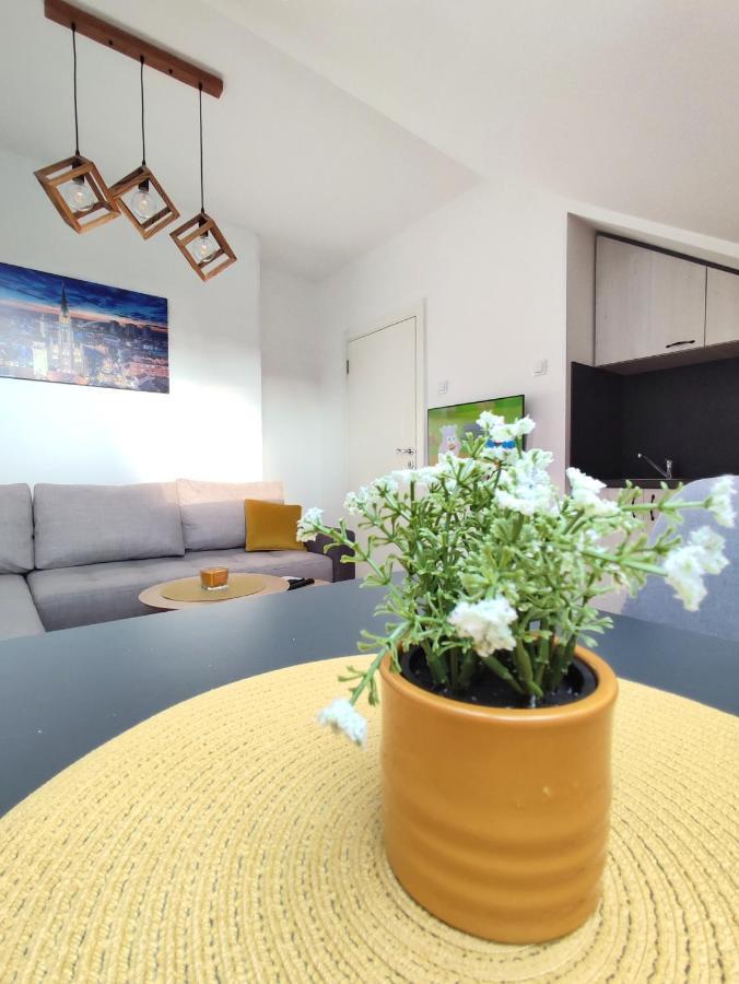 Apartman Ns Dan Private Parking Novi Sad Bagian luar foto