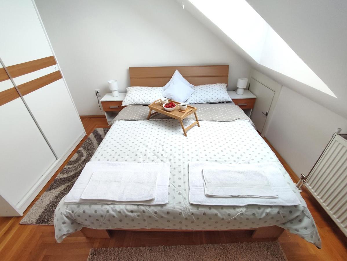 Apartman Ns Dan Private Parking Novi Sad Bagian luar foto