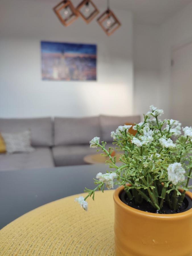 Apartman Ns Dan Private Parking Novi Sad Bagian luar foto
