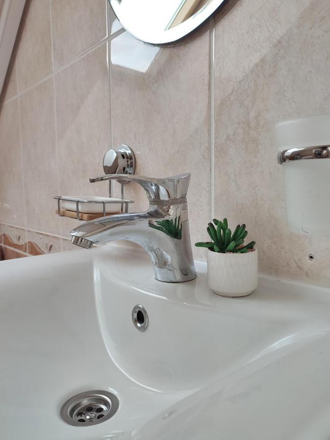 Apartman Ns Dan Private Parking Novi Sad Bagian luar foto